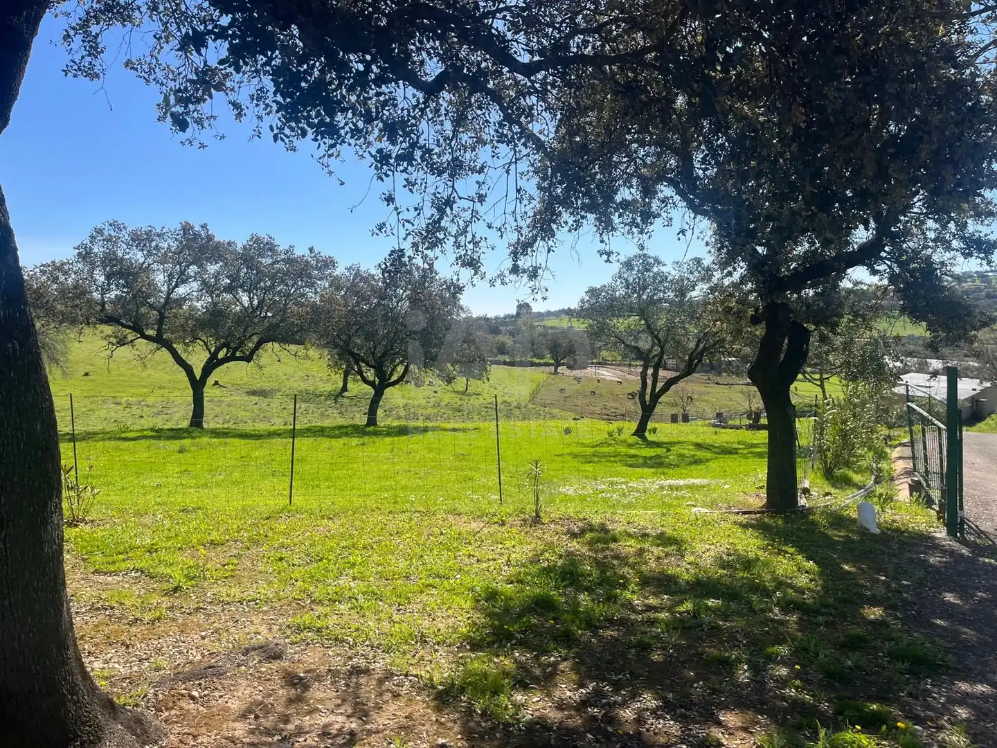 Terreno en venta en Valverde del Camino