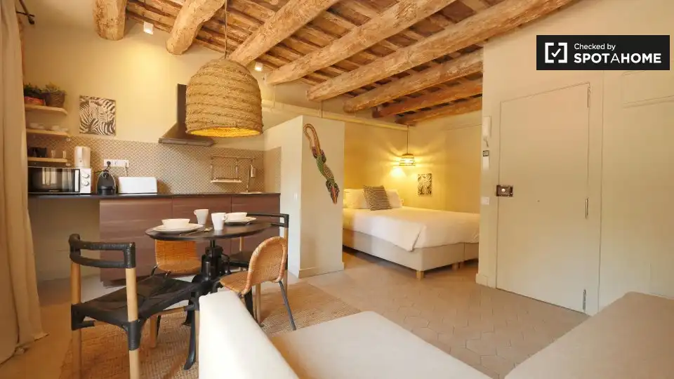 Appartamento con terrazza in affitto a Ciutat Vella, imagen 3