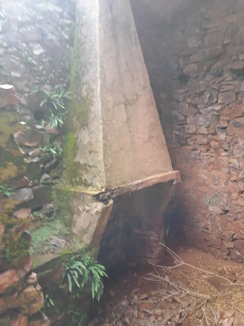 Vista exterior de Terreno en venta en Aracena