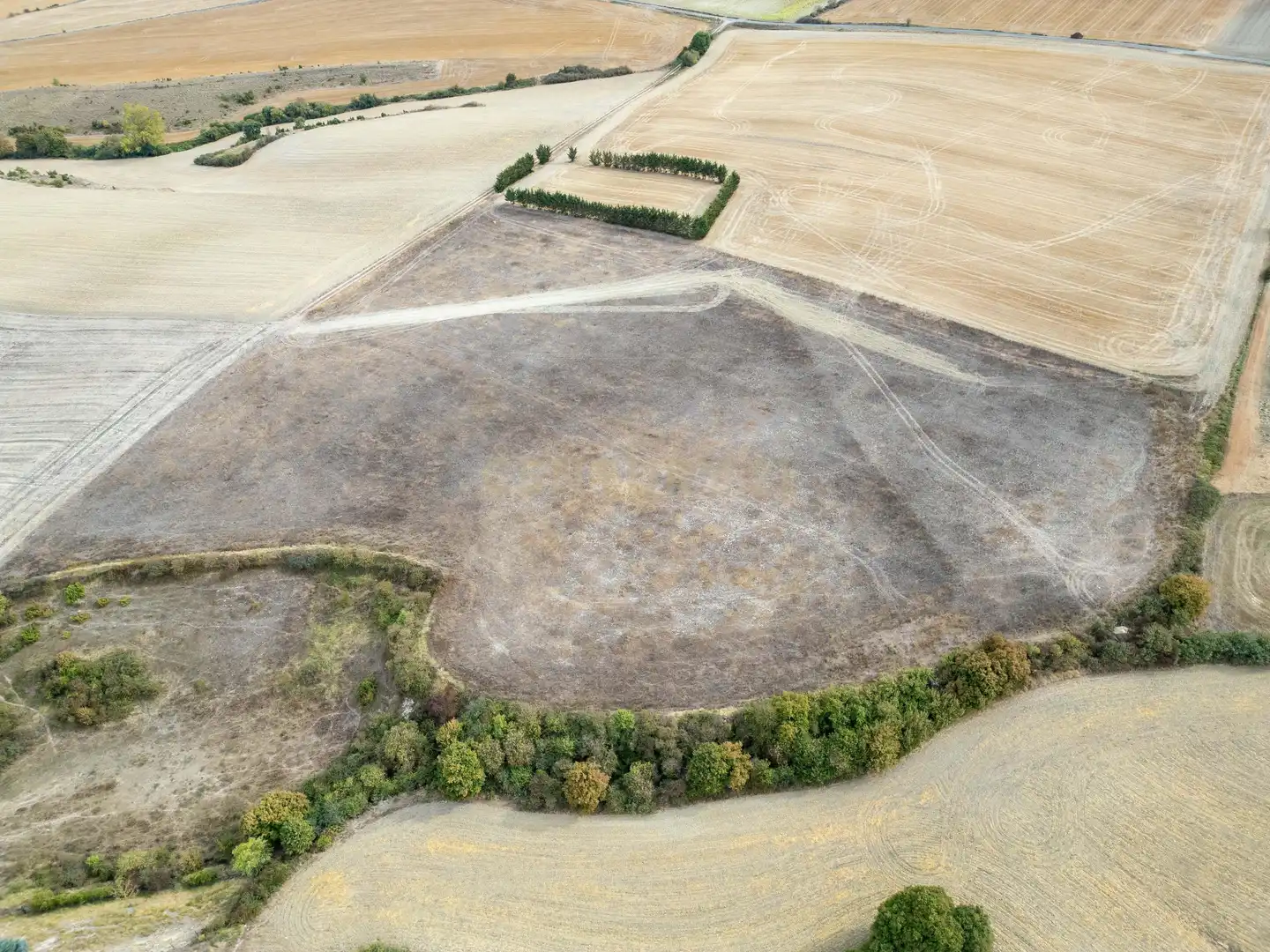Rural land for sale in Gaztelu, Spain, imagen 9