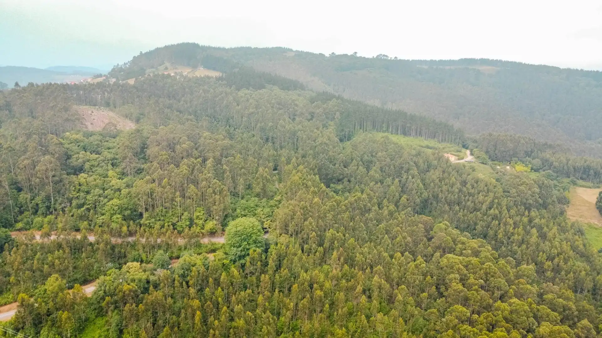 Casa o chalet en venta en Pravia con Calefacción, Jardín privado y Parquet