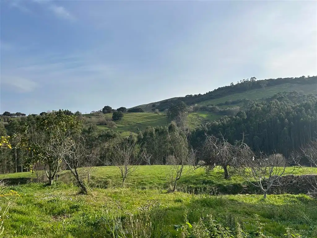 Finca rústica en venta en Val de San Vicente 