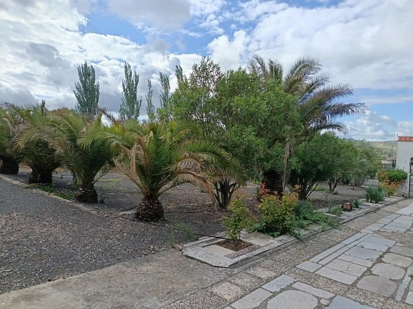Jardín de Casa o chalet en venta en Brazatortas con Aire acondicionado, Calefacción y Jardín privado