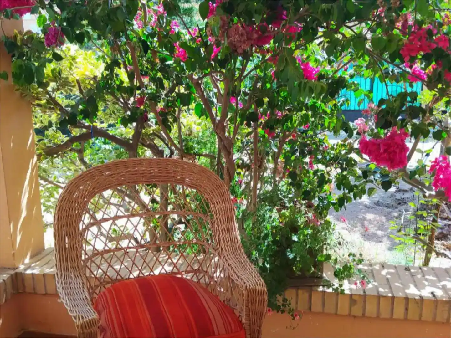 Jardín de Casa o chalet en venta en Ayamonte con Jardín privado, Piscina y Amueblado