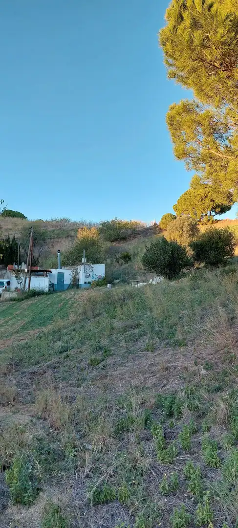Rural land for sale in Calella, imagen 2