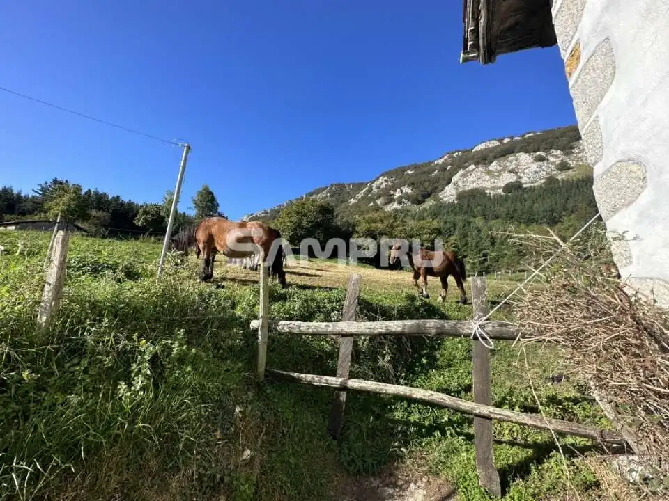 Exterior view of Country homes for sale in Aramaio