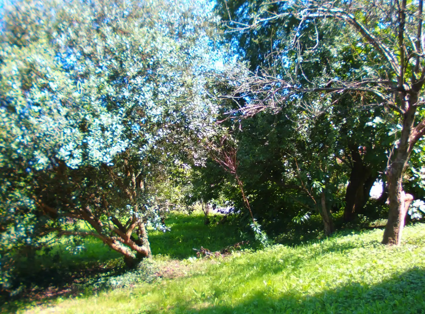 Country house zum Verkauf in Puente Viesgo mit Privatgarten