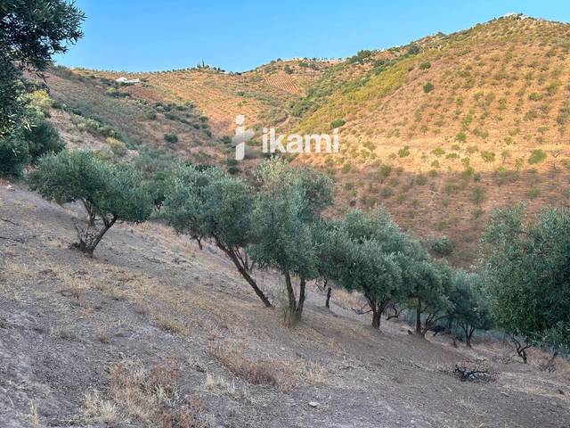 Terreno en Venta en Cerveral Pol. 13 en Colmenar