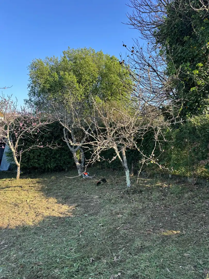 Land for sale in Estrada de Aldán, 50, Darbo