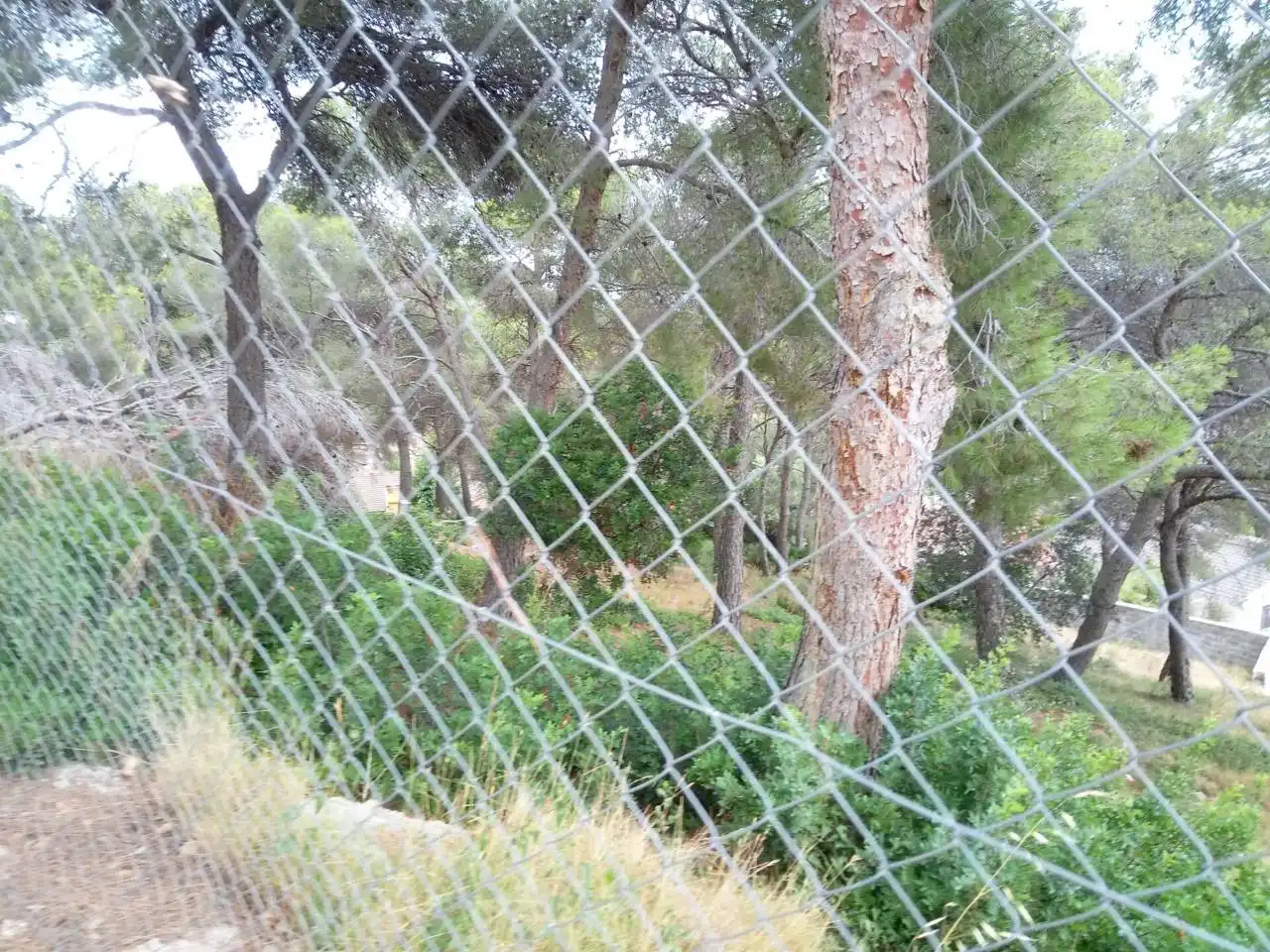 Terreno rustico in vendita a Calle Tulipa, imagen 6