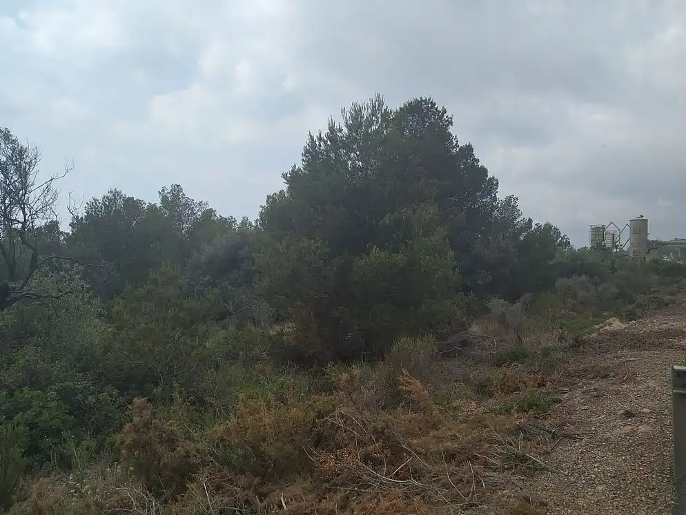 Land for sale in Alcanar