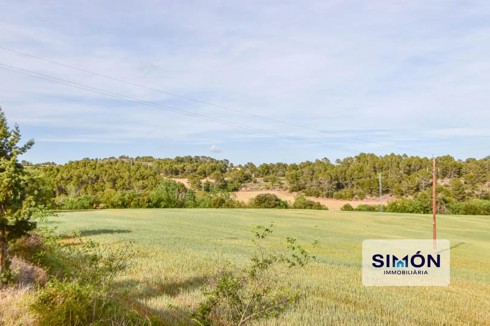 Finca rústica en venta en Veciana