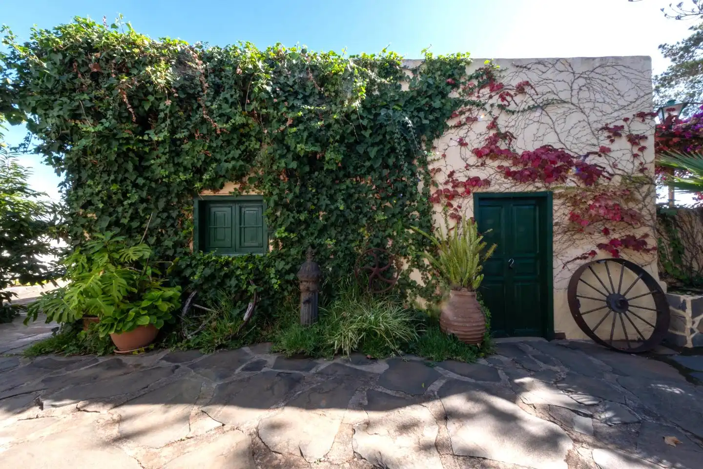 Vista exterior de Casa o xalet en venda en Santa Brígida amb Jardí privat i Terrassa