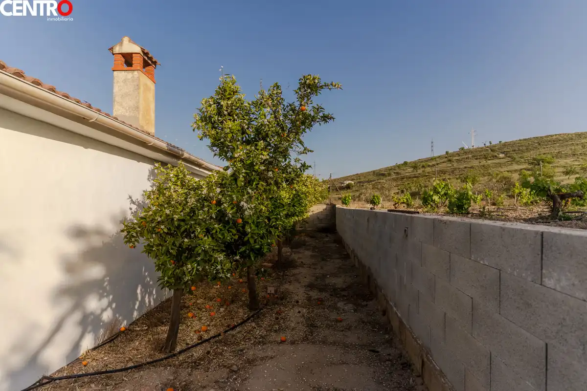 Casa con giardino in vendita a molinos, imagen 40