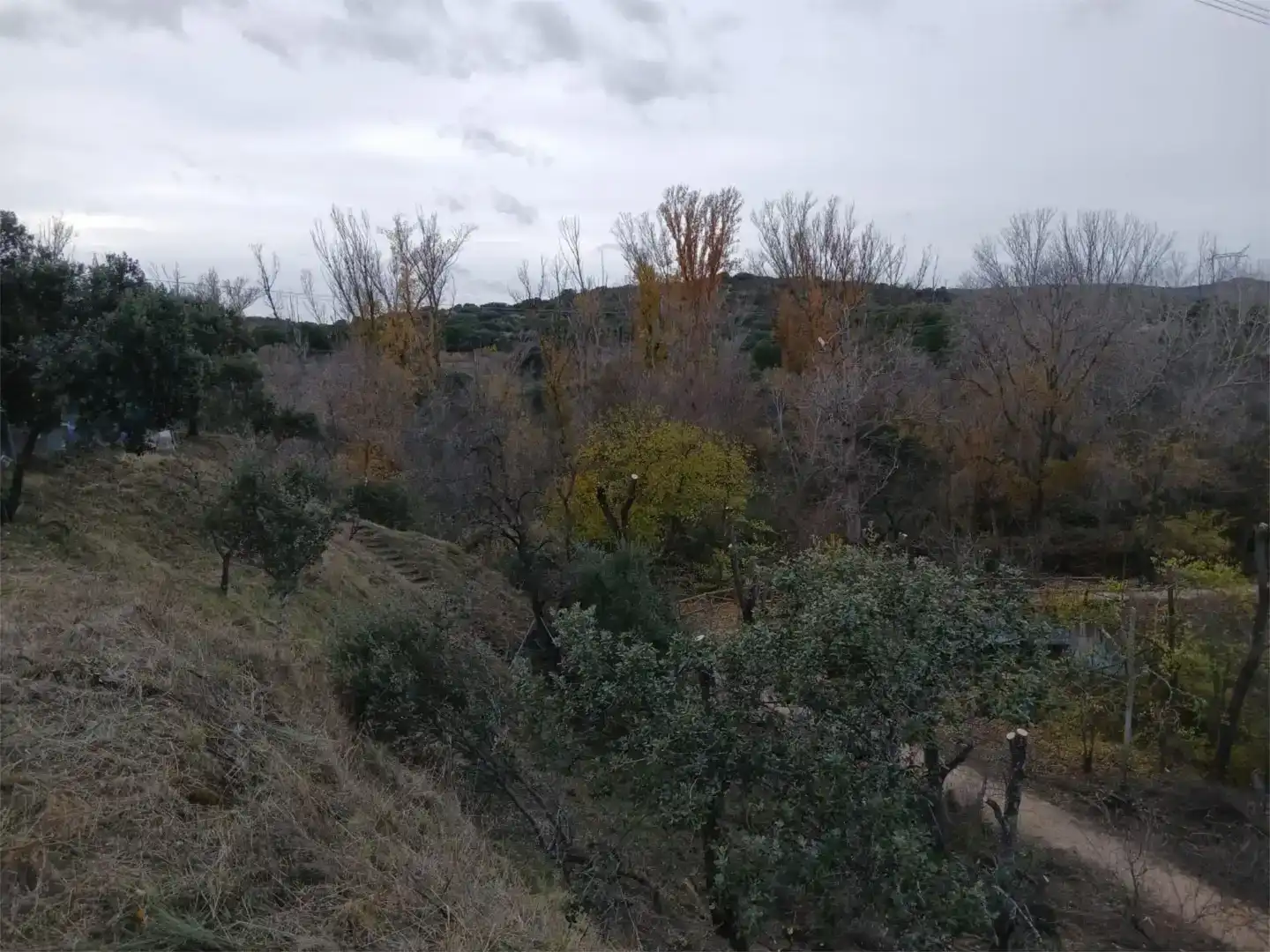 Finca rústica en venda en Las Rozas de Madrid