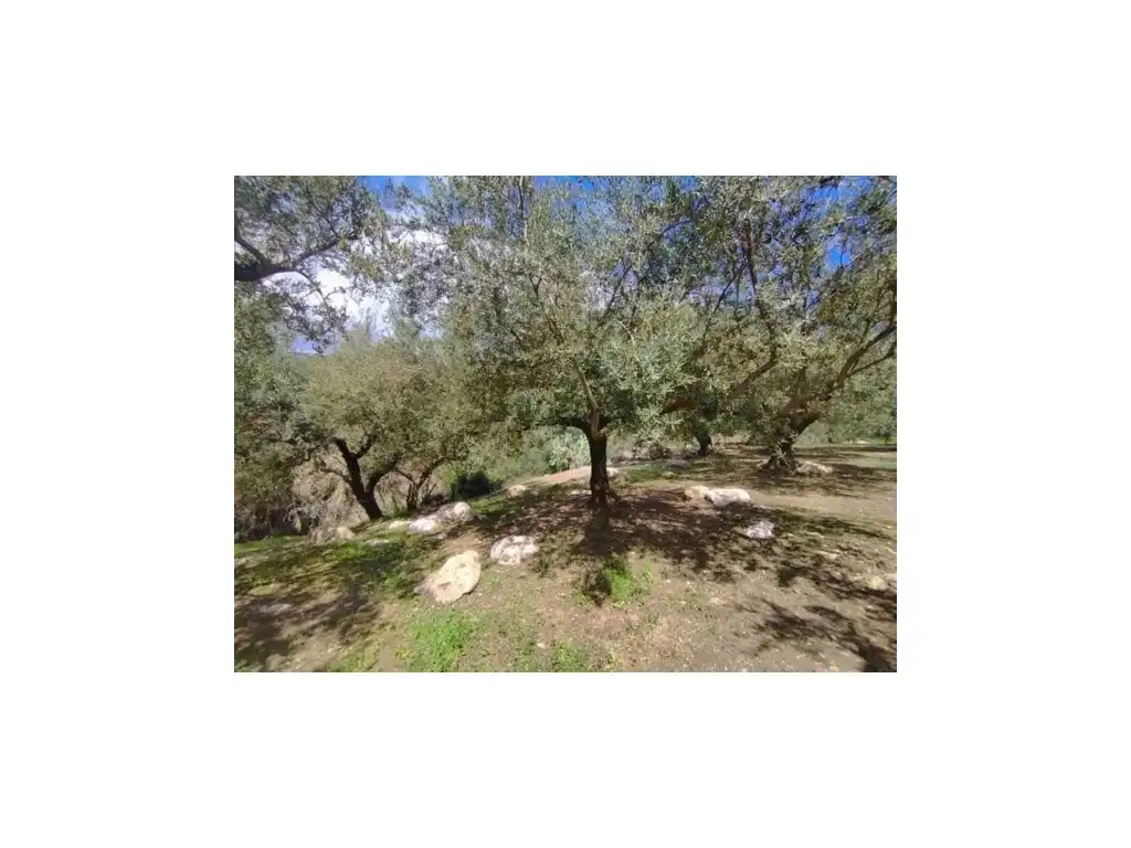 Finca rústica en venda en Periana amb Terrassa i Balcó