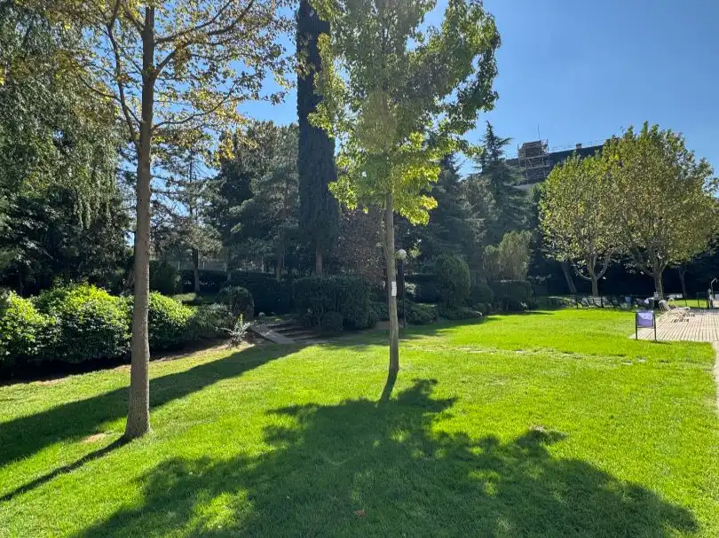 Jardí de Pis en venda en  Madrid Capital amb Aire condicionat, Terrassa i Piscina