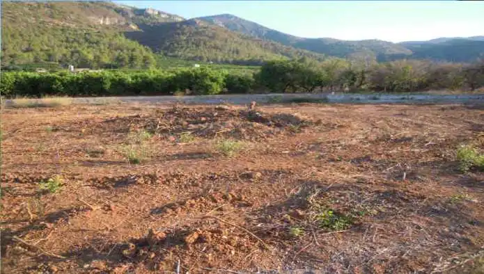 Terreno en venta en Simat de la Valldigna