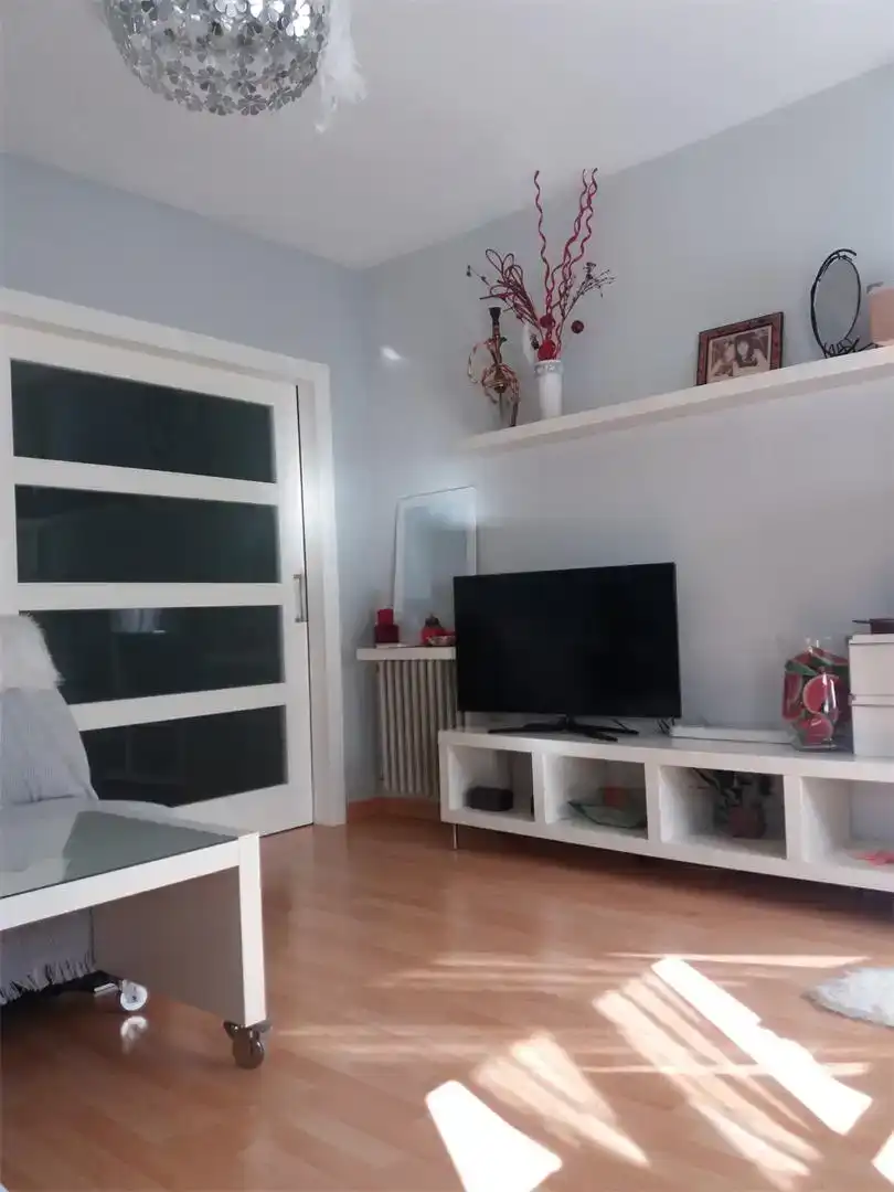 Sala d'estar de Pis en venda en Manzanares amb Aire condicionat i Balcó
