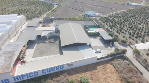 Foto 3 de Finca rústica en venda a El Tomillar, Málaga