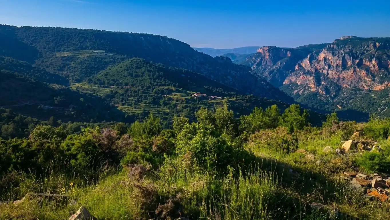 Vista exterior de Casa o chalet en venta en Benafigos con Terraza, Amueblado y Balcón