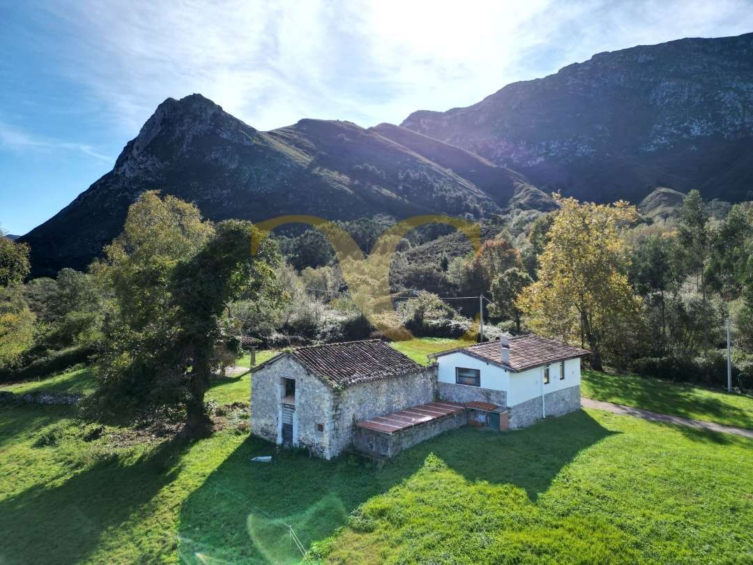 Exterior view of House or chalet for sale in Llanes  with Heating, Private garden and Storage room