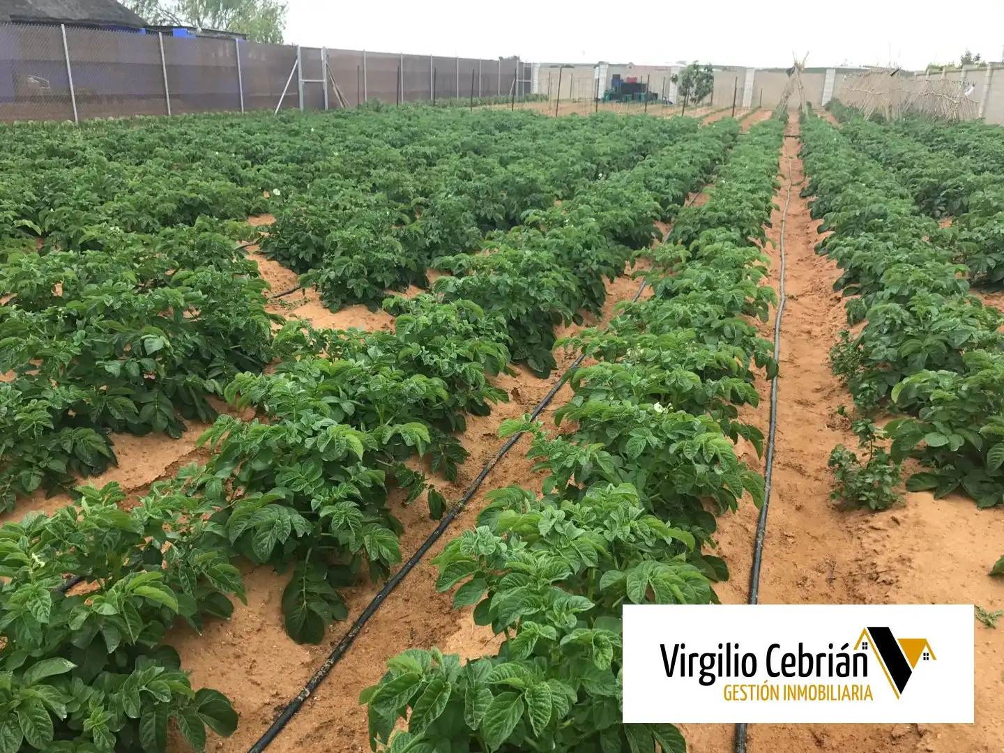 Jardí de Finca rústica en venda en Chipiona amb Jardí privat
