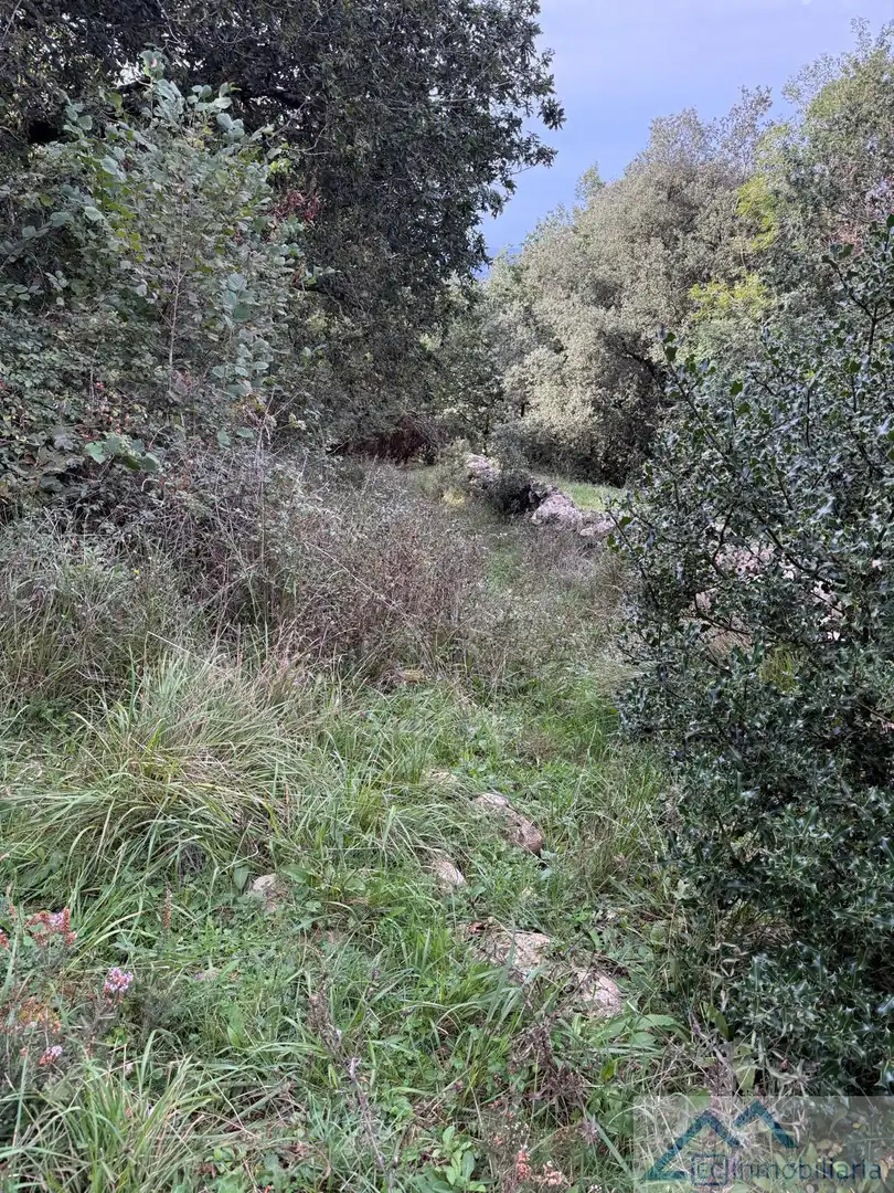 Casa o xalet en venda en Entrambasaguas