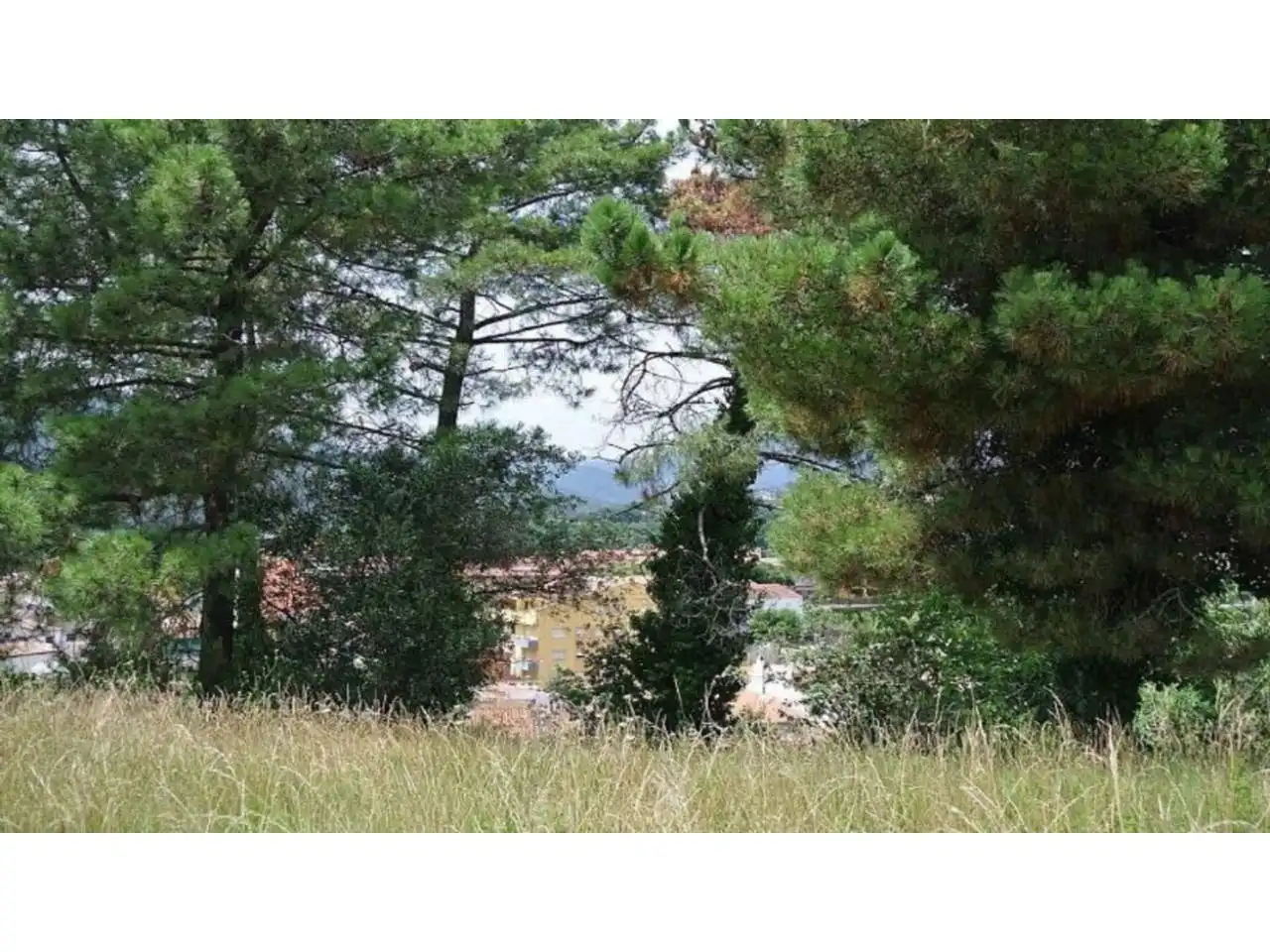 Terreno rustico in vendita a Sector MAS SERRA, imagen 2