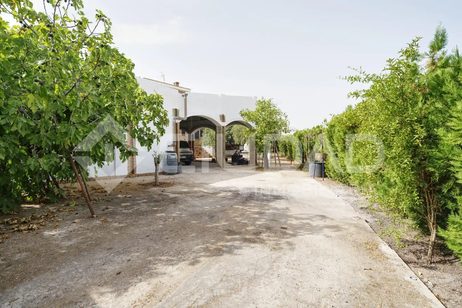 Vista exterior de Casa o xalet en venda en El Viso del Alcor