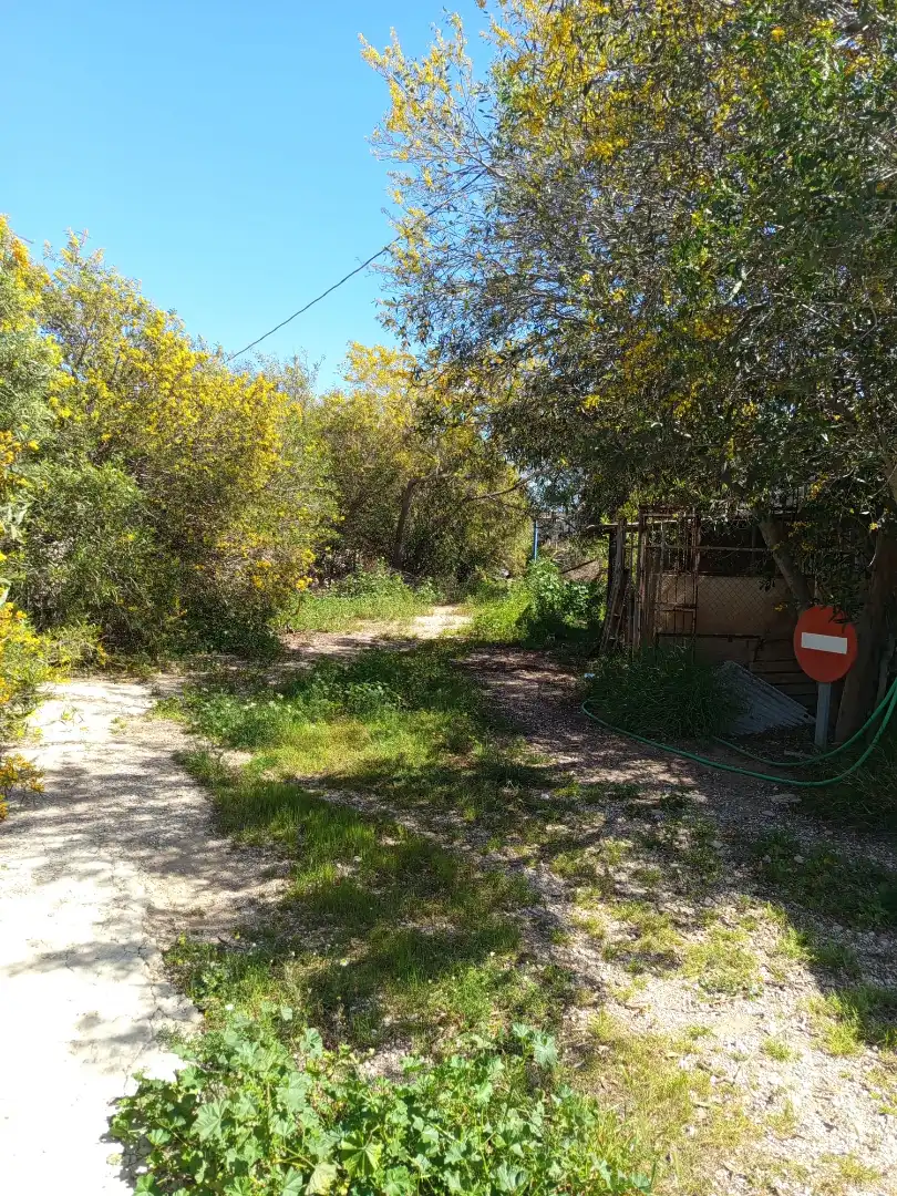Nave industrial en venta en Fuente Álamo de Murcia