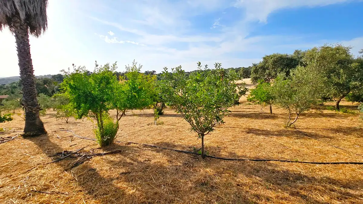 Casa o chalet en venta en El Castillo de las Guardas con Aire acondicionado, Jardín privado y Terraza