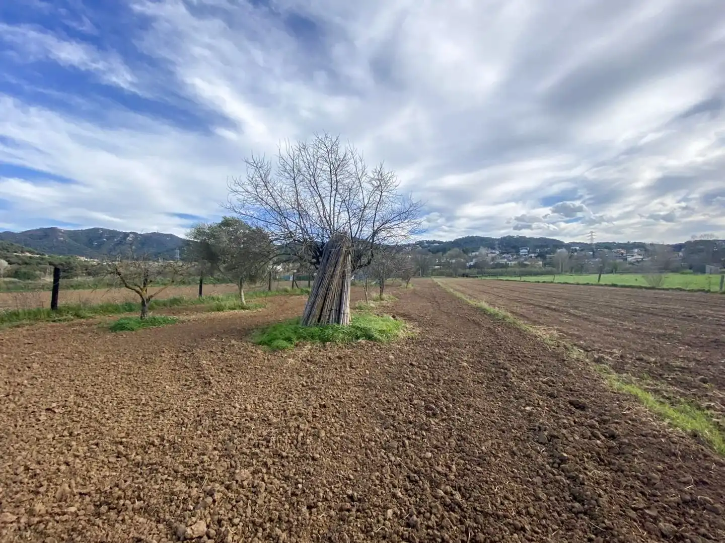 Terreny rústic en venda a carretera de valldoriolf 8, imagen 7