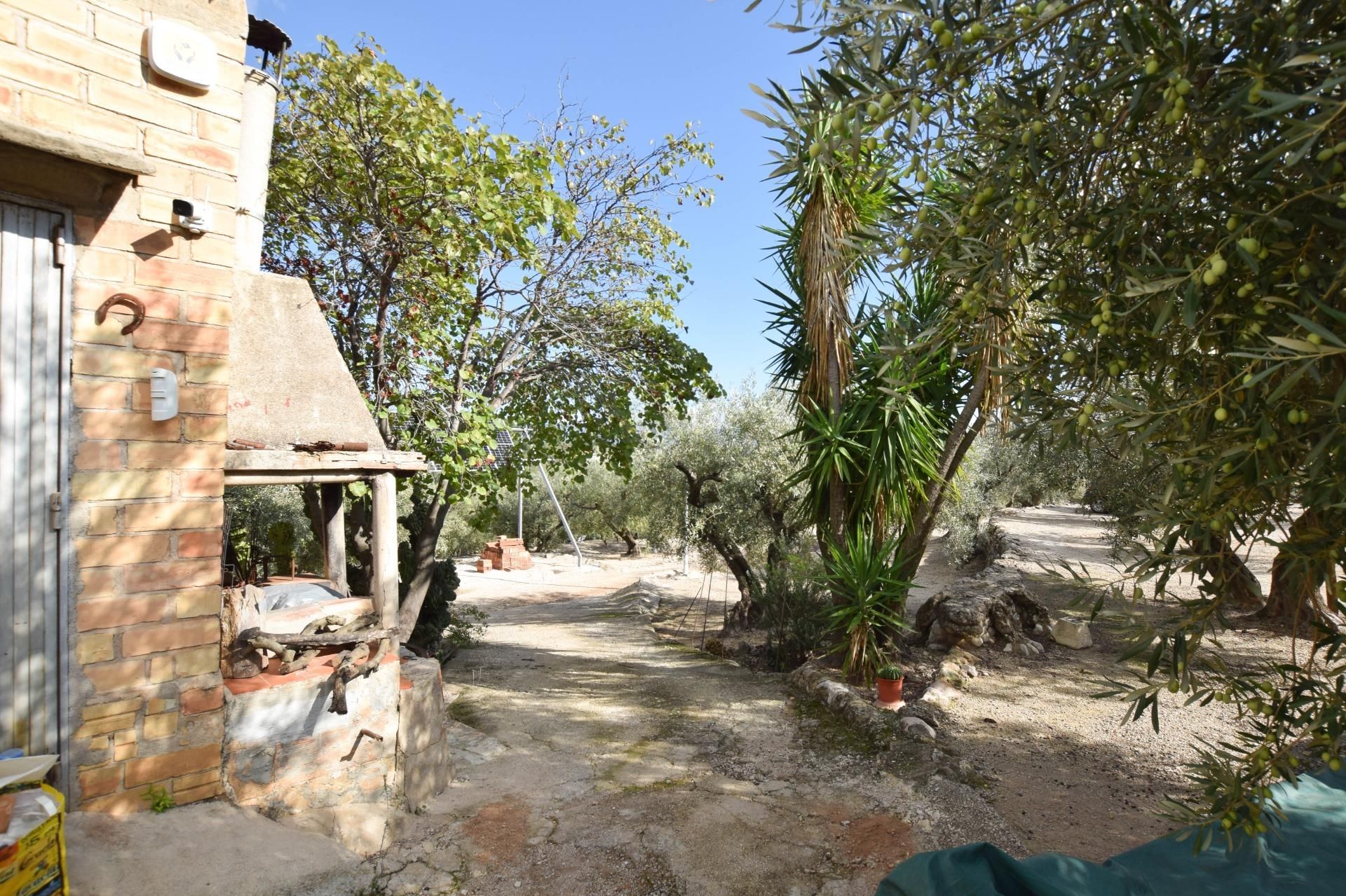 Jardí de Finca rústica en venda en Roquetes amb Alarma