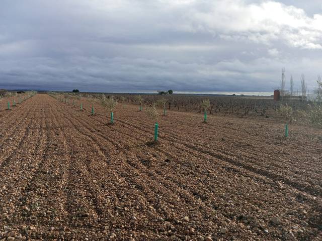 Terreno residencial en Venta en La Puebla de Almoradiel