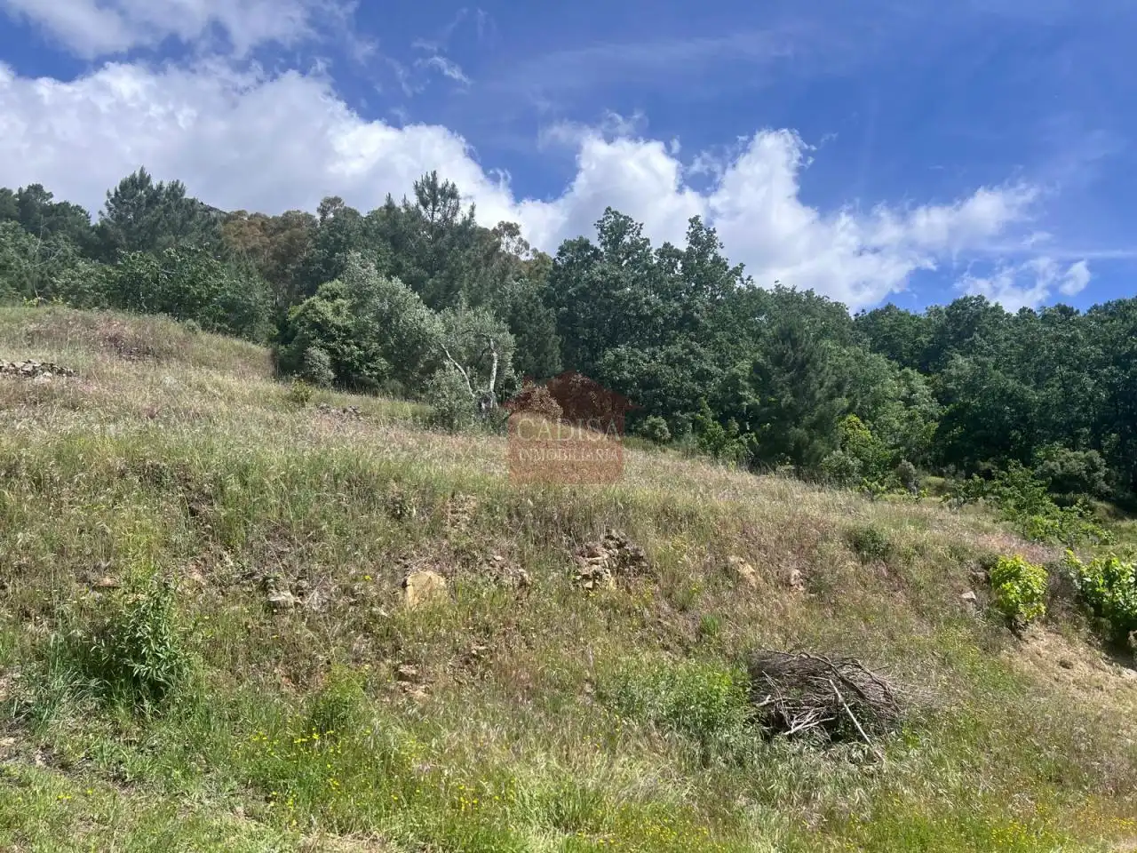 Terreno en venta en Garcibuey