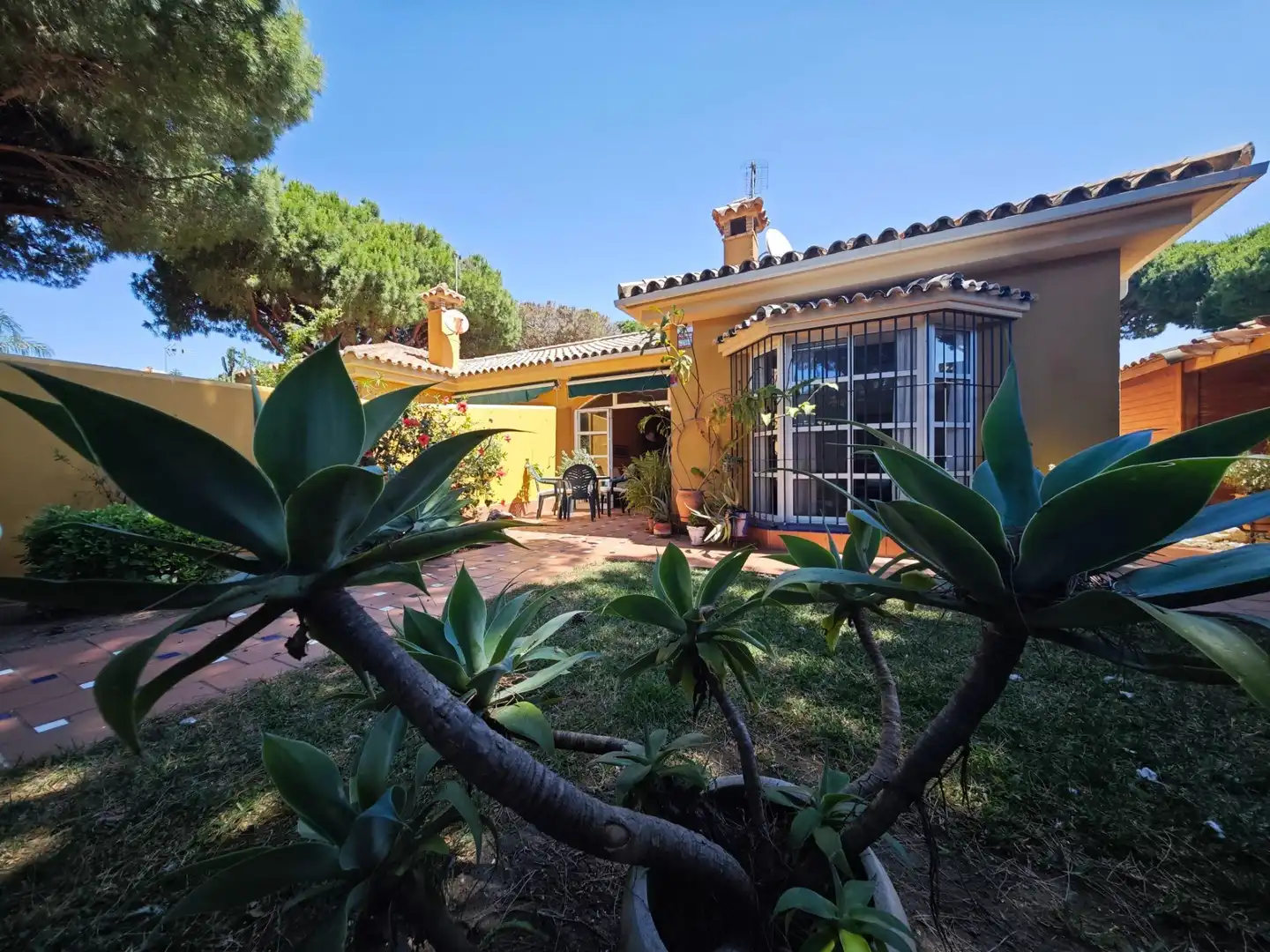 Jardí de Casa o xalet en venda en Chiclana de la Frontera amb Calefacció, Piscina i Moblat