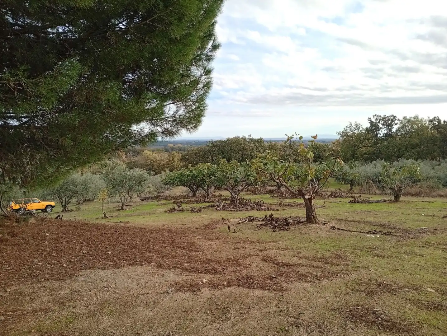 Terreni e lotti in vendita a Villanueva de la Vera, imagen 45