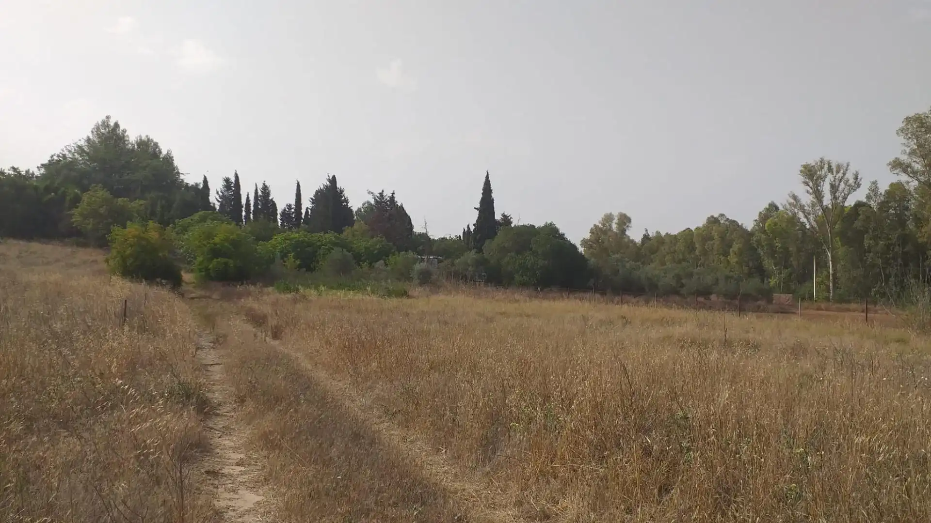 Rural land for sale in El Rocío - La Milagrosa, imagen 8