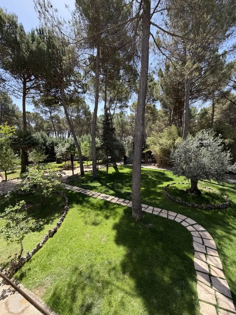 House with pool for sale in Pedanías - Extrarradio, imagen 38