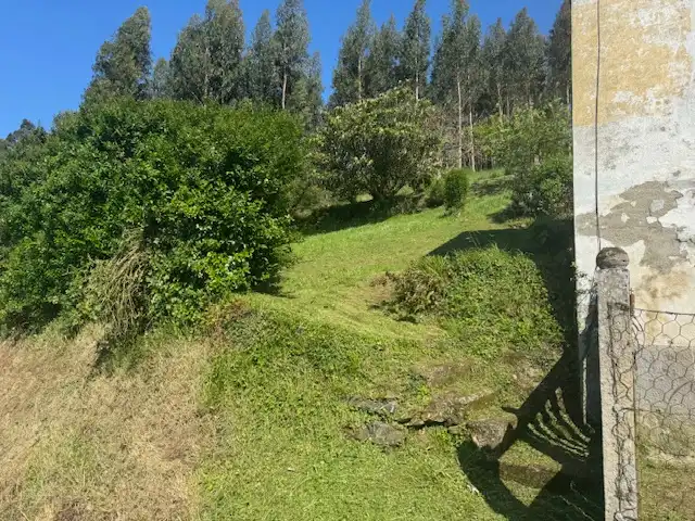 Casa o xalet en venda en Castropol