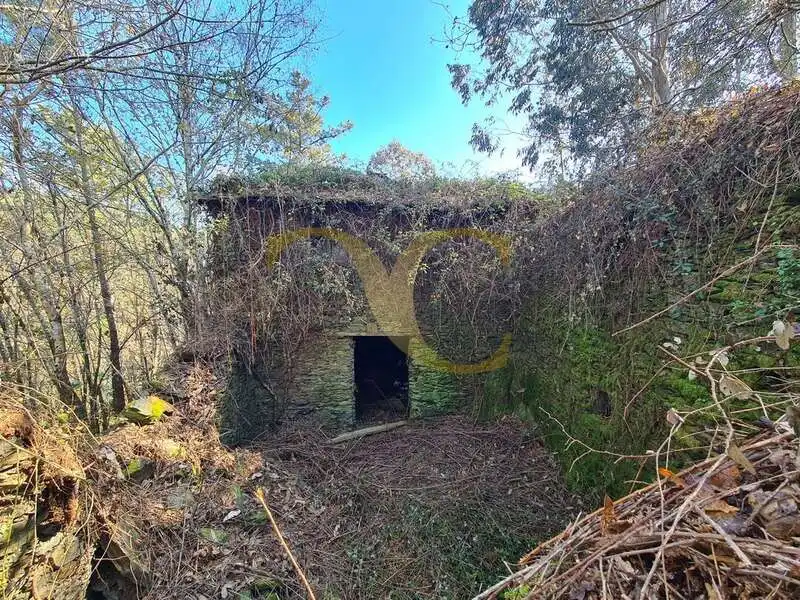 Vista exterior de Casa o xalet en venda en Villayón amb Jardí privat
