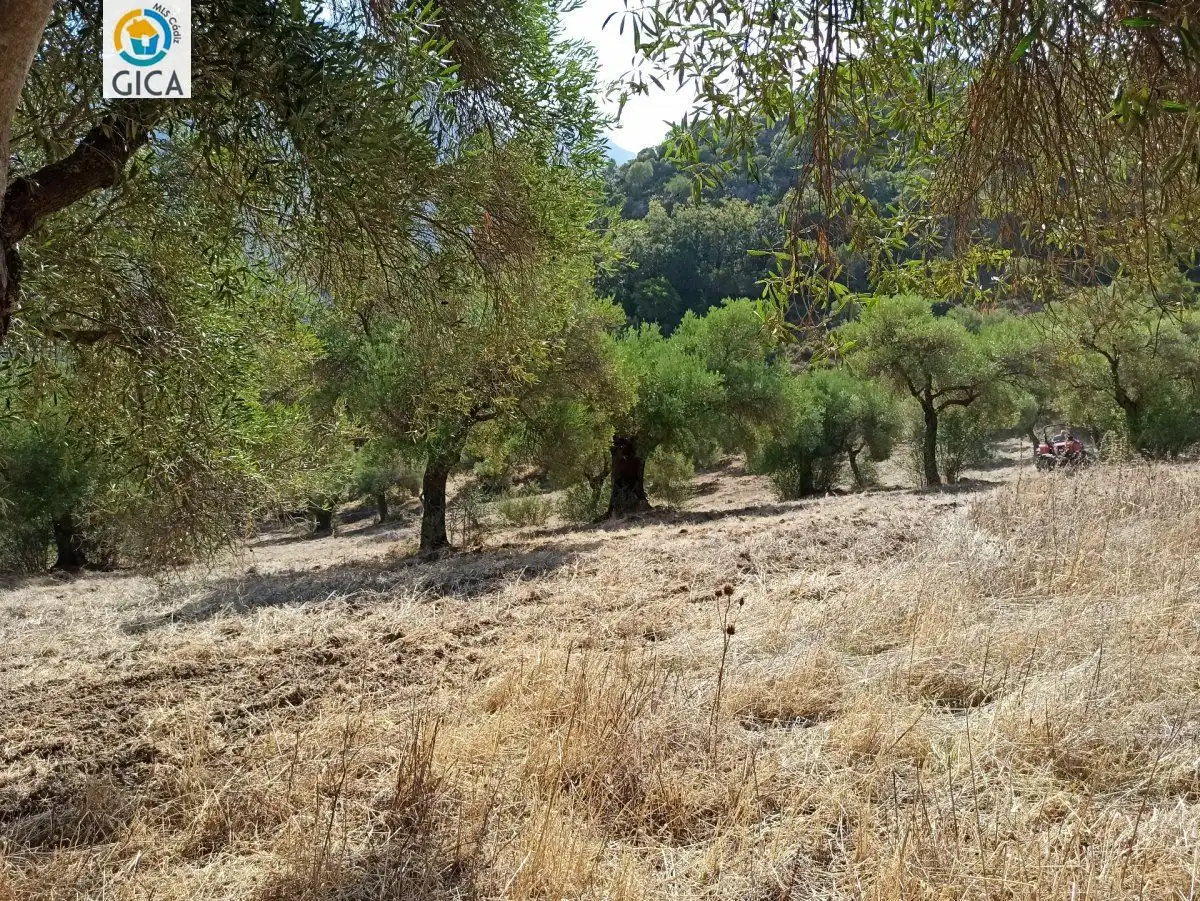 Casa rústica en venda a El Bosque, imagen 26