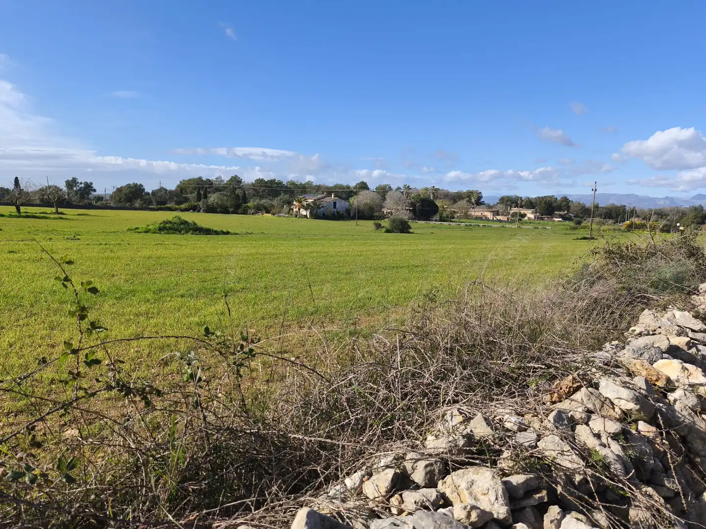 Terreno rustico in vendita a Lloret de Vistalegre, imagen 9