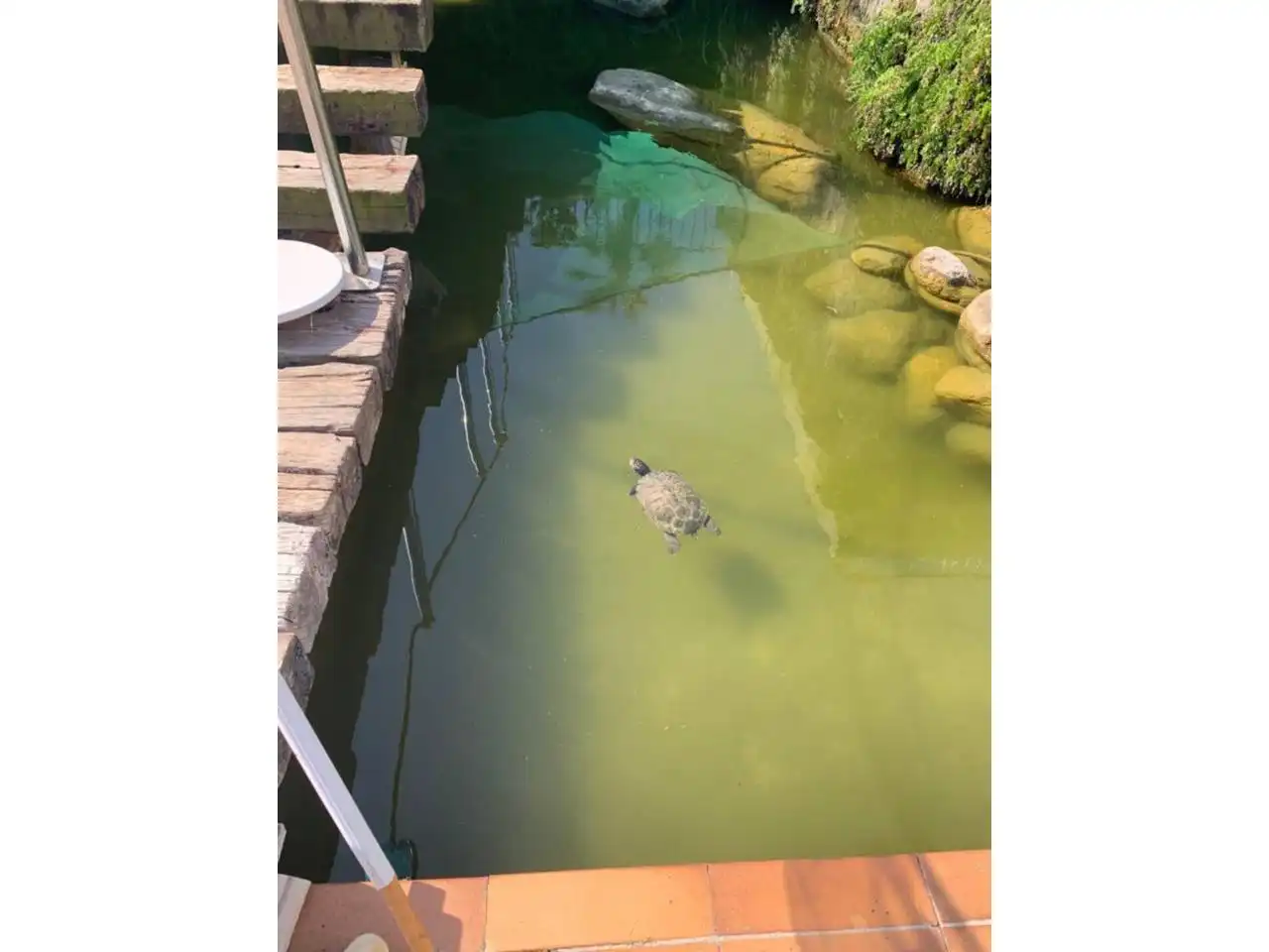 Casa con piscina in vendita a Roda de Barà, imagen 55