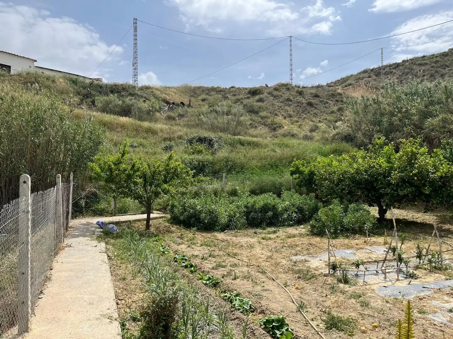 Finca rústica en venta en Fines