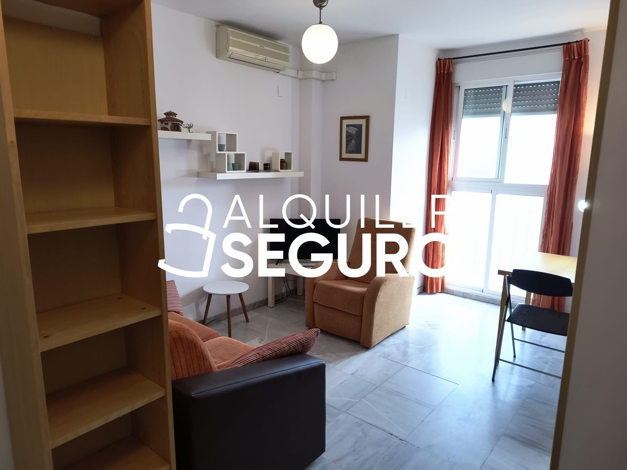 Living room of Flat to rent in  Sevilla Capital  with Air Conditioner and Furnished