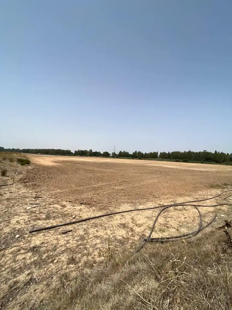 Terrenys i solars en venda a Carretera Cortes 4, imagen 4