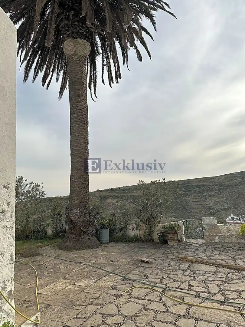 Finca rústica en venta en Arico