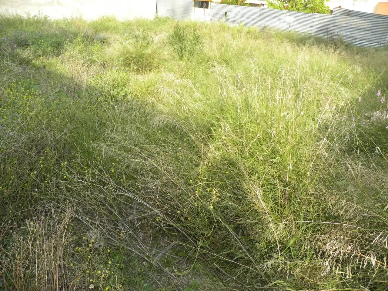 Terreno residencial en venta en Caravaca de la Cruz